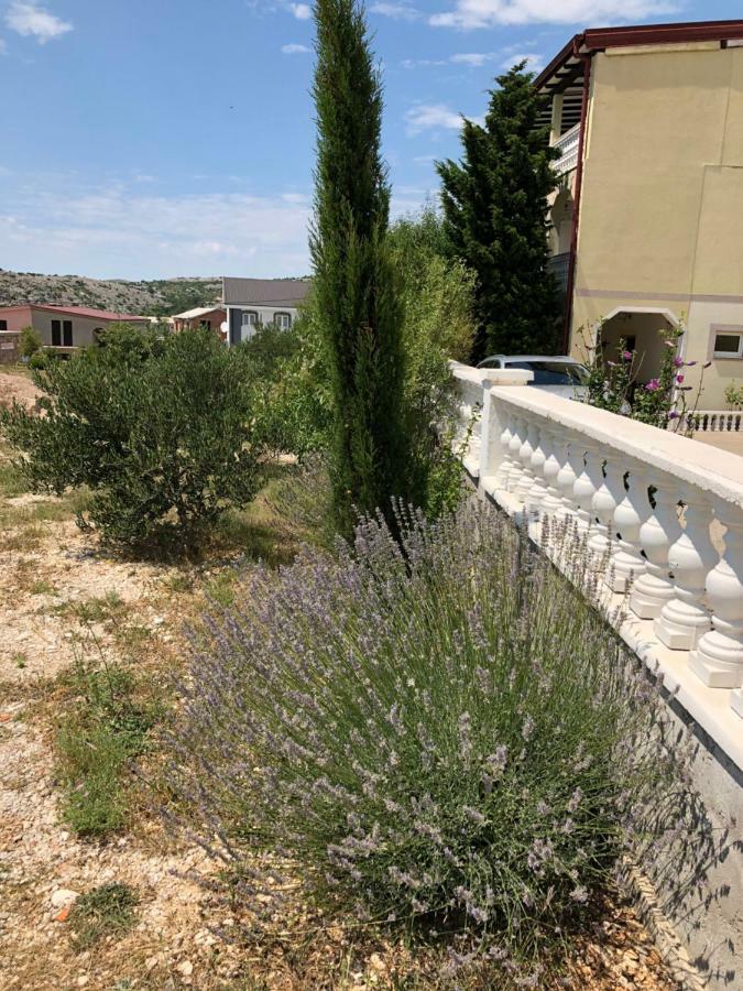 Apartmani Gabi Cesarica Exteriör bild