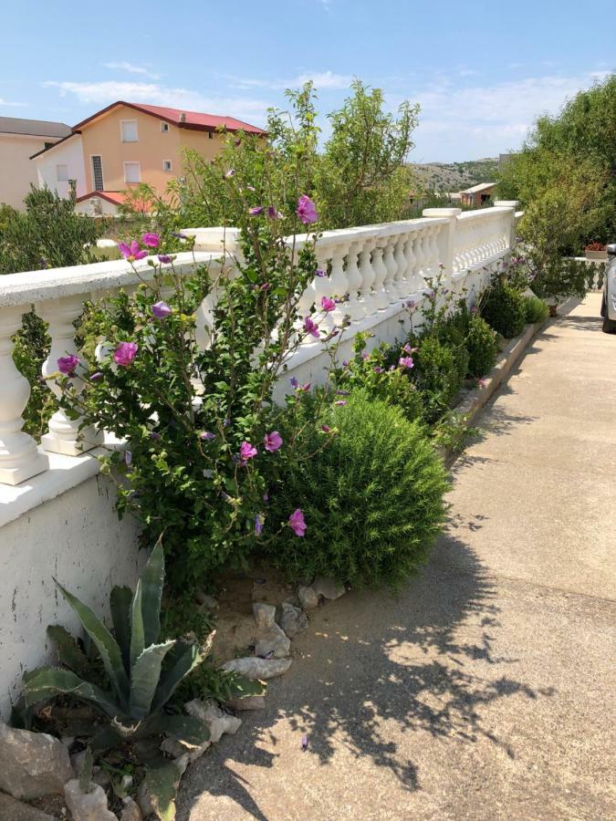 Apartmani Gabi Cesarica Exteriör bild