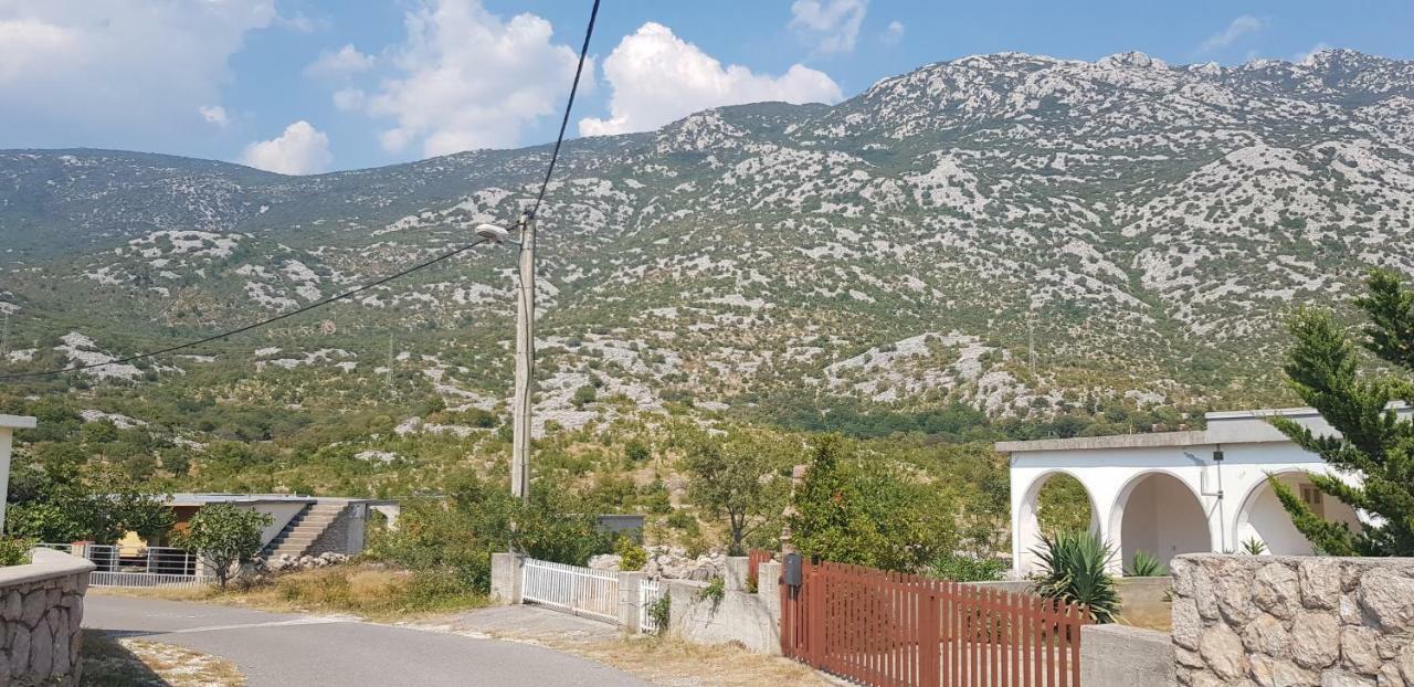 Apartmani Gabi Cesarica Exteriör bild